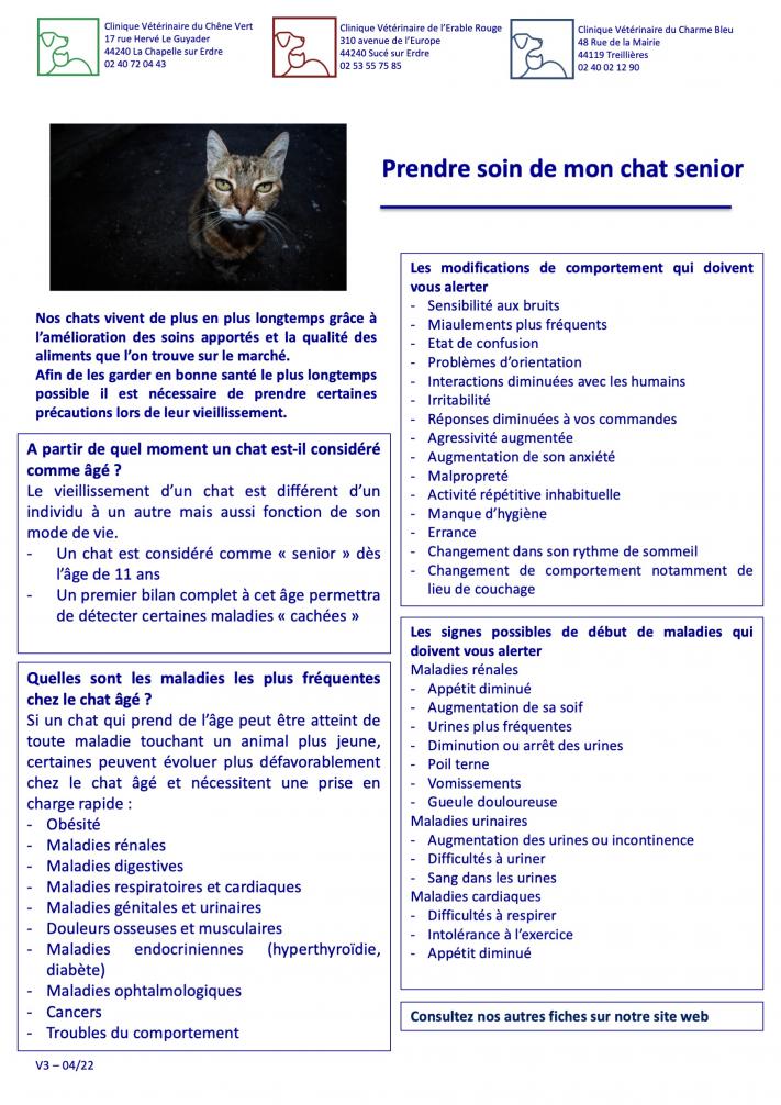 Prendre soin de mon chat senior