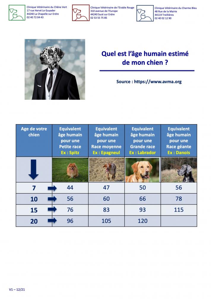 Quel est l'âge humain estimé de mon chien ?