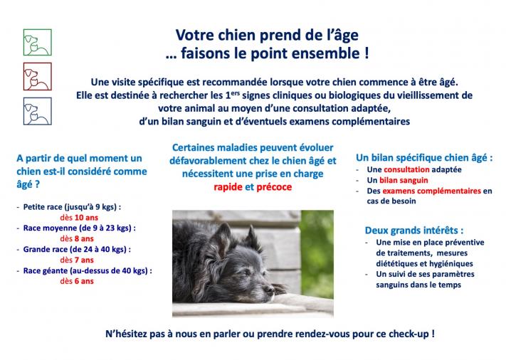 check up chien senior