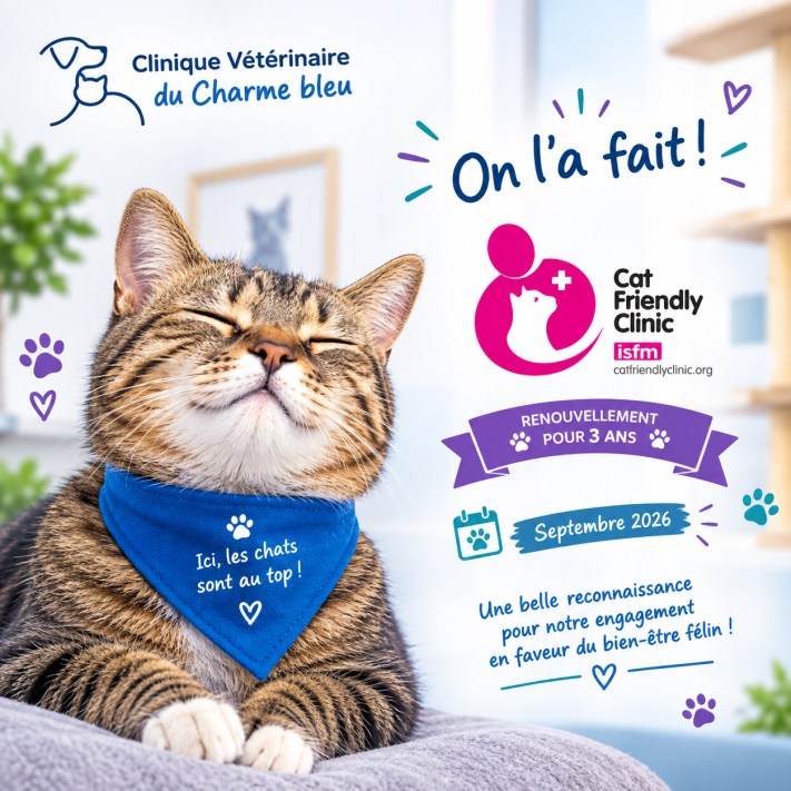 Renouvellement Cat friendly clinic