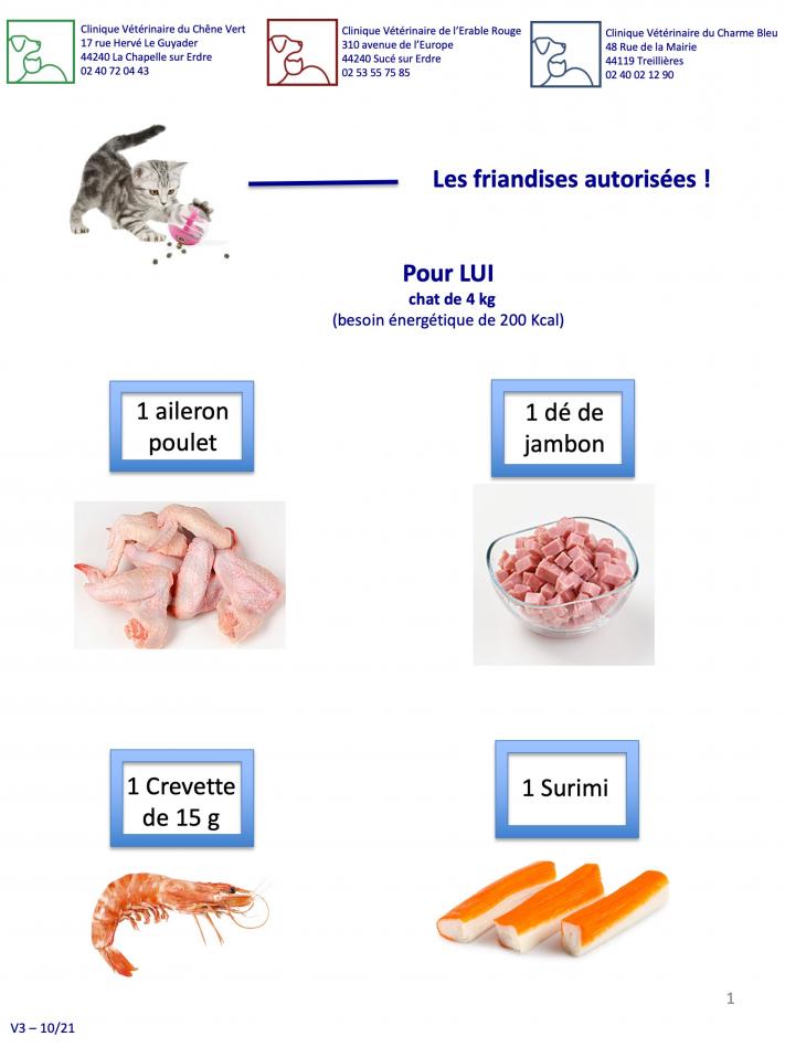 Les friandises possibles chez le chat
