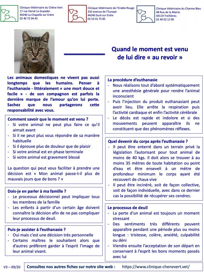 L'euthanasie du chat