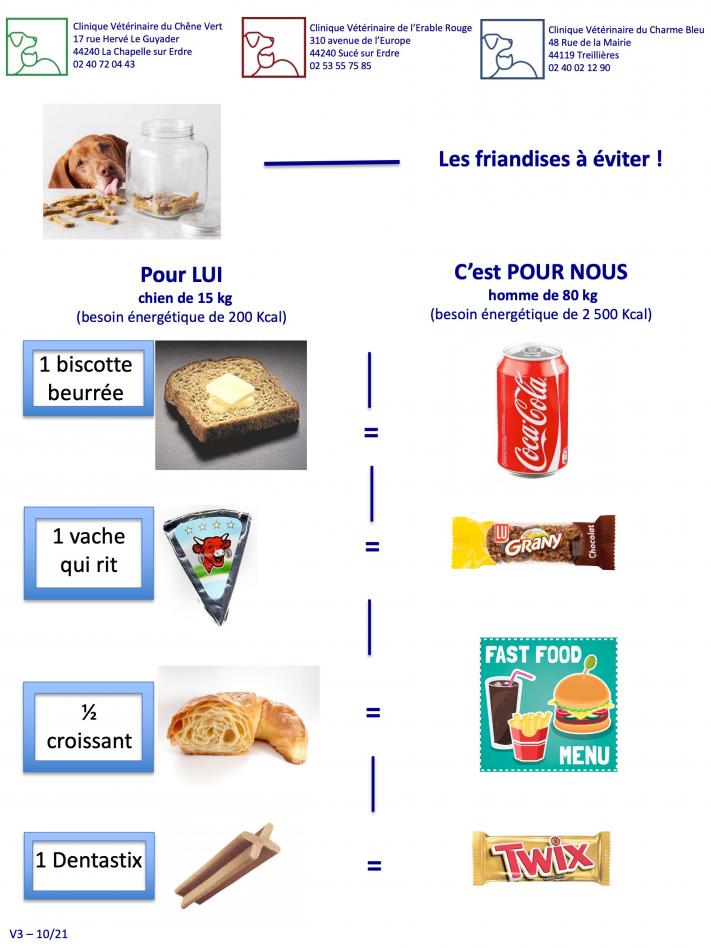 Les friandises à éviter chez le chien