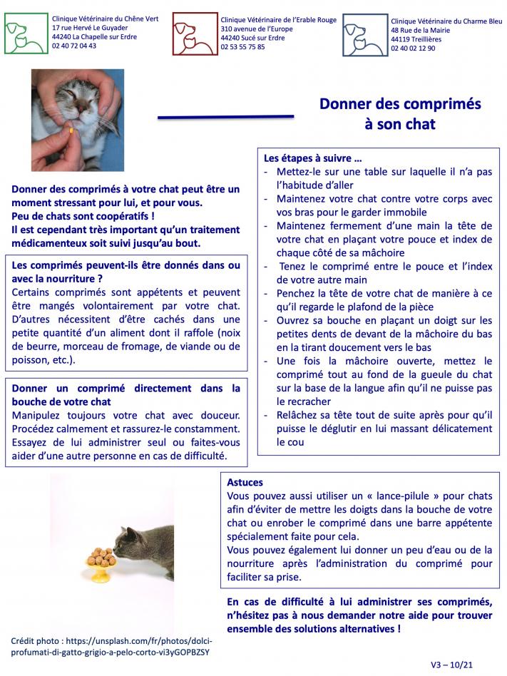 Donner des comprimés à son chat
