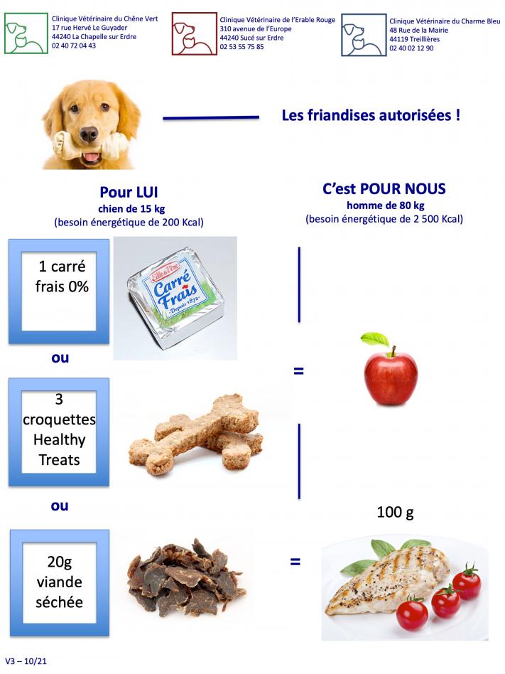 Les friandises possibles chez le chien