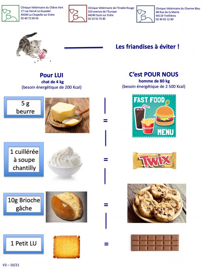 Les friandises à éviter chez le chat