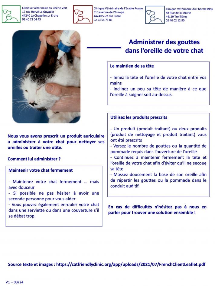 gouttes auriculaires